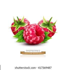 three vector berry raspberry with green leaves isolated on white background