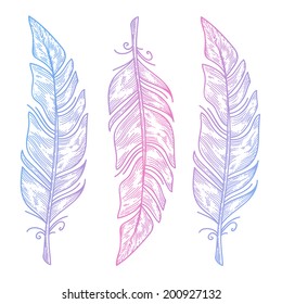 Three vector bird feather isolated on white, hand drawn sketches for design, decorative elements in blue-pink colors, hipster illustration