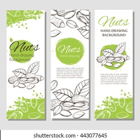 Three vector flyer with linear silhouettes of peanuts and green splashes in the background. Sketch of plants in vintage style. Brochures with nuts illustrations for design