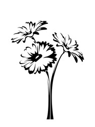 Three Vector Gerbera Flowers With Stems Isolated On A White Background.