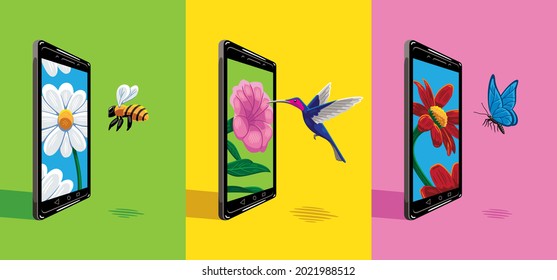 Three vector illustrations of a bee, a hummingbird and a butterfly that are looking at some mobile phones that have different flowers on their screen.