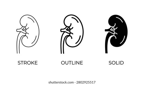 Three vector illustrations depict a human kidney in stroke, outline, and solid black styles, all presented on a white background. Each version shows the organ's distinct shape and internal structures.