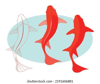 Tres ilustraciones vectoriales de peces Koi.