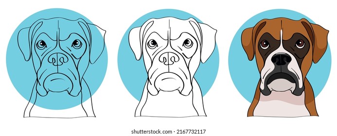 Three vector images of boxer dog breed.