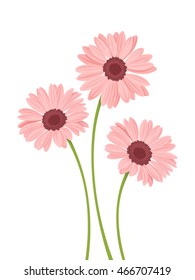 Three vector pink gerbera flowers with stems isolated on a white background.