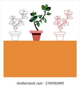 Three vector plants with orange and white background.