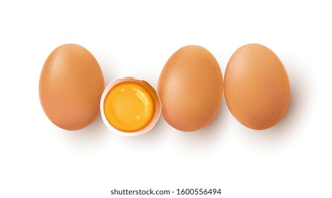 Three vector realistic brown eggs one broken. Isolated eggs on white background