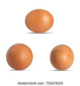 three vector realistic brown eggs.