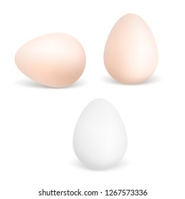 Three vector realistic white and brown eggs. Chicken eggs isolated on white background.