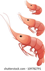 Three vector shrimps - small, middle and big