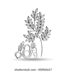 three vegetables and fruits with leaf, vector illustration