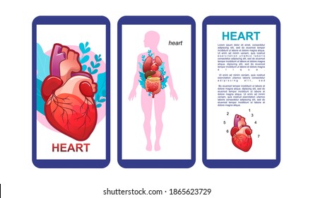 tres silueta vertical de afiches de cuerpo humano con descripción de órganos internos e ícono de corazón humano, para aplicaciones telefónicas y afiches