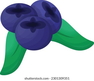 Three vibrant blueberries in a clean and modern vector illustration, perfect for food and nutrition designs