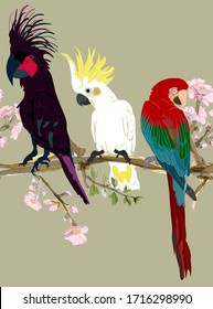 Three vibrant cockatoo parrots are sitting on tree branches in delicate pink flowers seamless vector illustration. Picture with exotic bird on beige, cream, tan color background. Endless pattern.