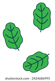 Three vibrant green leaves with distinct veins, isolated on a white background.