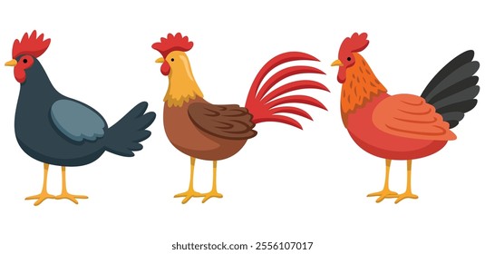 Three vibrant rooster illustrations in minimalist style, showcasing colorful feathers and simple designs, vector illustration.