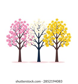 Three vibrant trees showcasing pink, white, and yellow blossoms against a white background, representing springtime and seasonal beauty.