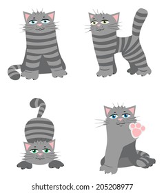 Three views of cheerful little kitten