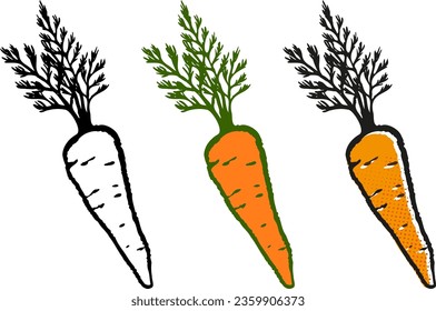 Three vintage ripe carrots of different colors with green tops isolated vector illustration.