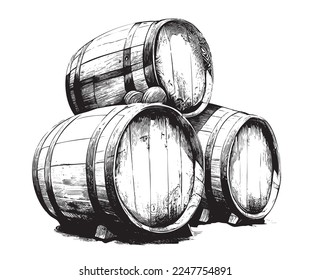 Three vintage wooden barrels for wine and beer hand drawn sketch engraving style Vector illustration