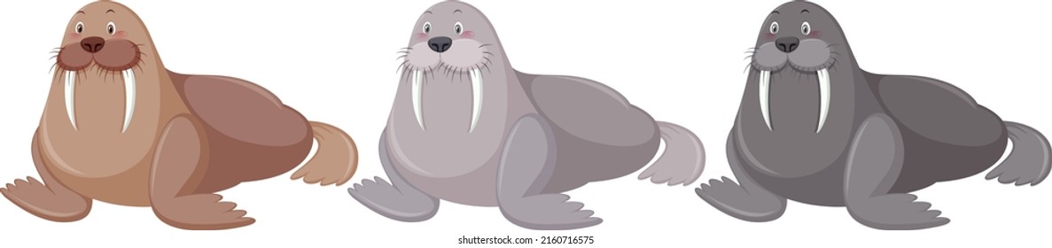 Three walrus in different colours  illustration