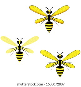 Three wasps: without outlines, with outlines, with shadows, in black and yellow. Vector illustration is suitable for illustrating books, knitwear, postcards, booklets, websites.