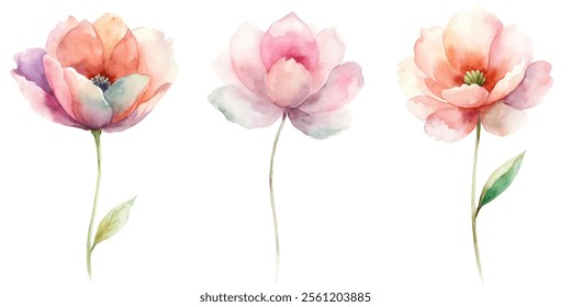 Three watercolor flowers with green leaves. The flowers are arranged in a row