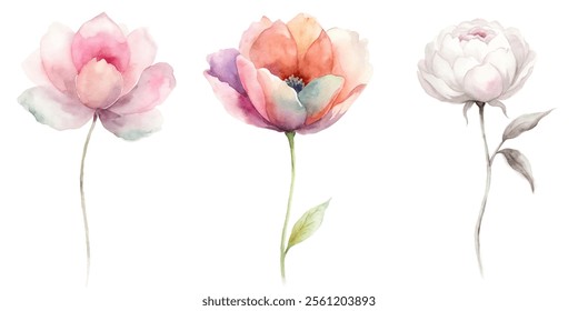 Three watercolor flowers are shown in a row, with the middle one being the tallest. The flowers are pink and white, and they are arranged in a way that creates a sense of balance and harmony