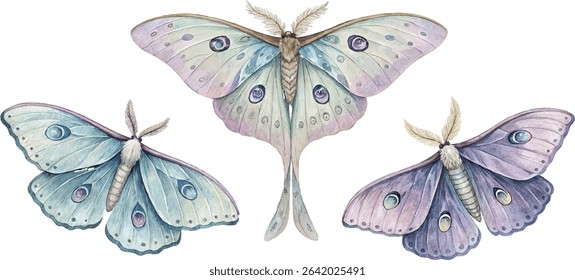 Three watercolor moths in soft pastel colors.  Perfect for nature, spring, or fantasy themes.