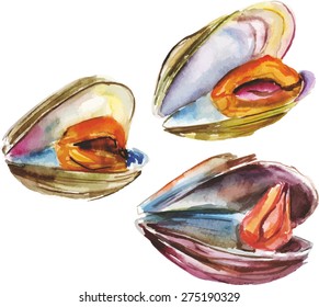Three watercolour mussels, scalable vector drawing