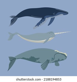 three whales sealife animals icons