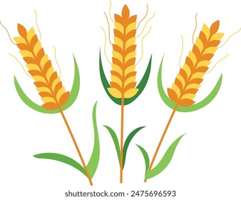 Three wheat ears isolated white background. Yelloworange wheat graphics, green leaves, designed farming, nutrient, bread crops, abstract art. Autumn harvest, rich grain production agricultural