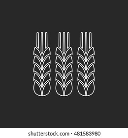 Three Wheat symbol sign line icon on background