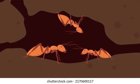 Three white ants termites underground