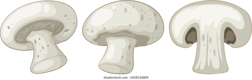 Three white button mushrooms illustrated in a clean vector style, including whole and sliced views, with soft neutral colors and subtle shading