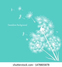 Three white dandelions on a blue background. Minimalistic background for your design. Flying dandelion to heaven. Vector illustration.