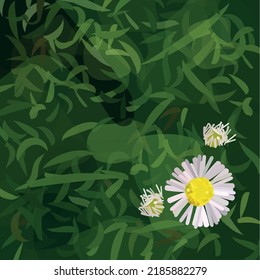Three white flowers on a green background