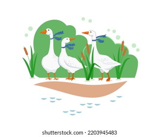 Tres ganso blanco con bufandas azules con puntos de polka en cañas cerca del lago contra el fondo de arbustos verdes. Ilustración de lindos animales de granja para niños. Cartel vectorial de la decoración de las habitaciones para niños.