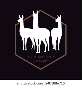 Three white llamas of the Andes