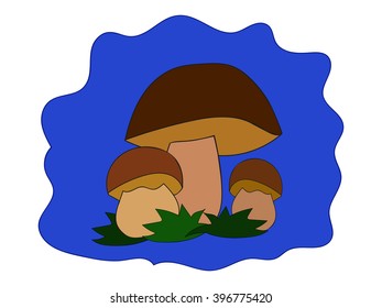 Three white mushrooms in the grass