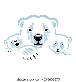 Three white polar bears - animals family