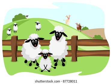 three white sheep on pasture with a wooden fence and landscape in background
