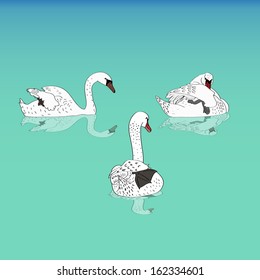 Three white swans and their reflection in the water.