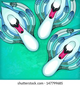 Three white swans in the water. Vector illustration.