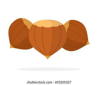 Three whole hazelnuts vector flat material design isolated on white