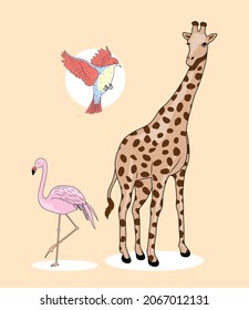 three wild animals set icons