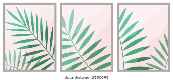 Three windows without curtains and houseplants. Plant with wide leaves behind glasses of window