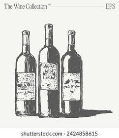 Three wine bottles isolated on blank backdrop. Hand drawn vector illustration, sketch.