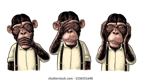 Three wise monkeys and hand ears  eyes  mouth  Not see  not hear  not speak  Vintage color engraving illustration for poster  web  t  shirt  tattoo  Isolated white background