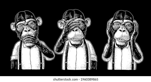 Three wise monkeys with hand on ears, eyes, mouth. Not see, not hear, not speak. Vintage white engraving illustration for poster. Isolated on black background